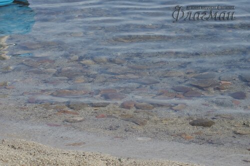 IMGP1320_r